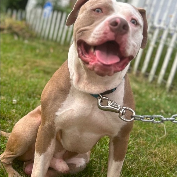 Meet your Posher, Latasha - Picture 5 of 14